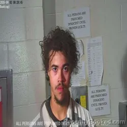 Mugshot of DAVID WAYNE HAMMON booked in Lincoln County, Louisiana on April 2, 2026