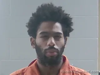 Booking photo from Livingston Parrish, Louisiana