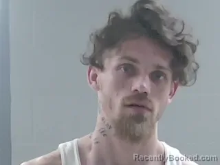 Mugshot of DYLAN AUSTIN GOYNES