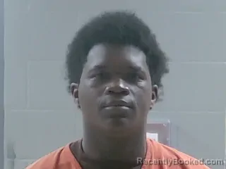 Mugshot of MICHAEL VEAL