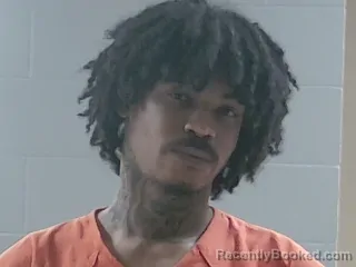 Booking photo from Livingston Parrish, Louisiana