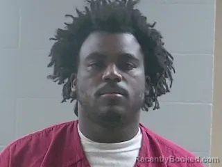 Booking photo from Livingston Parrish, Louisiana