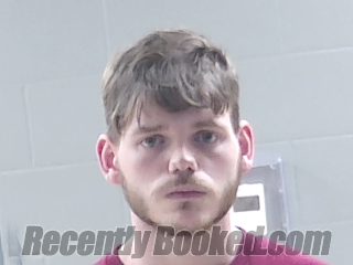 Booking photo from Livingston Parrish, Louisiana