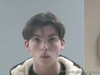 Mugshot of COLE NELSON