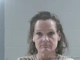 Mugshot of LISA M SKIPPER booked in Livingston County, Louisiana on July 1, 2026