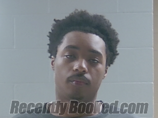 Booking photo from Livingston Parrish, Louisiana