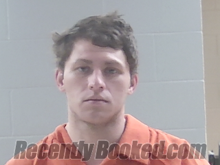 Booking photo from Livingston Parrish, Louisiana