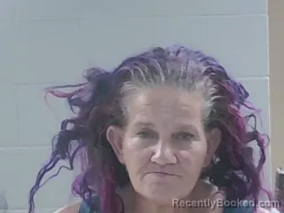 Mugshot of Beth Ann Coody Himel booked in Livingston County, Louisiana on August 9, 2026