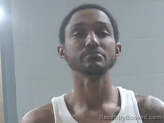 Mugshot of JAMARRI JOHNSON booked in Livingston County, Louisiana on June 15, 2026