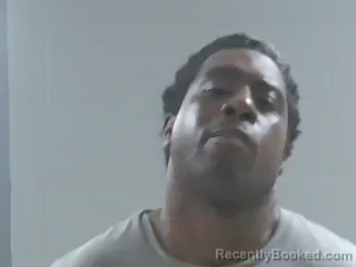 Mugshot of DAVID DOMINO