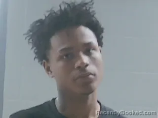 Mugshot of RONALD KING