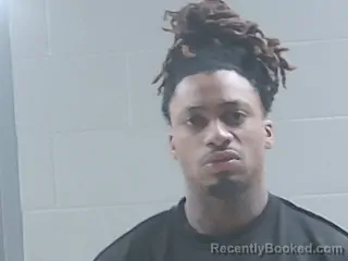 Mugshot of Jaylin Grant booked in Livingston County, Louisiana on September 16, 2026