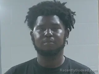 Mugshot of WALTER WILLIAMS booked in Livingston County, Louisiana on July 2, 2026