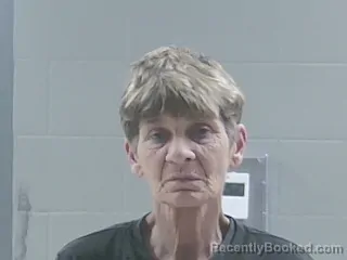 Mugshot of LISA L KENNEDY