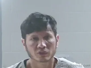 Mugshot of ANTHONY JAMES HINSON booked in Livingston County, Louisiana on June 11, 2026