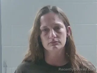 Mugshot of AMY L BERGERON booked in Livingston County, Louisiana on June 4, 2026