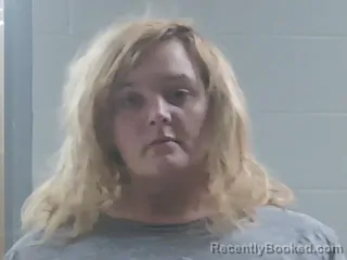 Mugshot of LEIGH ANN STRICKLAND