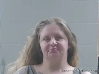 Mugshot of ASHLEY RENEE WILLIAMSON