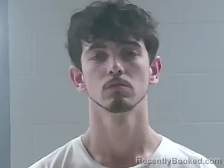 Mugshot of PETER NELSON