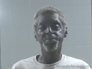 Mugshot of Walter Chaney booked in Livingston County, Louisiana on July 26, 2026