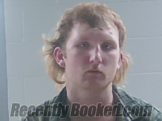 Booking photo from Livingston Parrish, Louisiana
