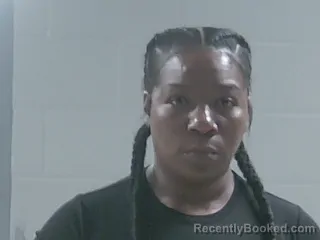 Mugshot of Alexis Michelle Veal booked in Livingston County, Louisiana on August 17, 2026