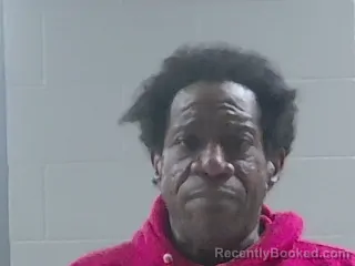 Booking photo from Livingston Parrish, Louisiana