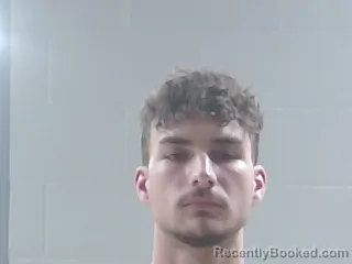 Mugshot of AARON WAYNE TEMPLE booked in Livingston County, Louisiana on June 11, 2026