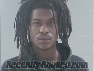 Booking photo from Livingston Parrish, Louisiana