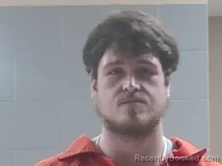 Mugshot of TYLER RAY MCDUFFIE booked in Livingston County, Louisiana on June 16, 2026