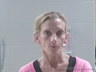 Mugshot of CHRISTINE HUSSEY booked in Livingston County, Louisiana on April 20, 2026