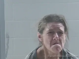 Mugshot of Leeann Otazo booked in Livingston County, Louisiana on August 9, 2026