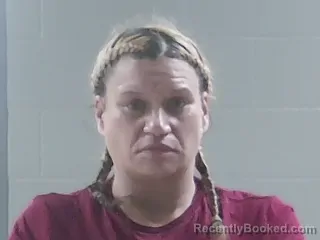 Mugshot of ROBIN E SMITH