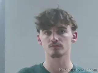 Mugshot of HERMAN HANNER