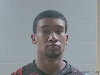 Booking photo from Livingston Parrish, Louisiana