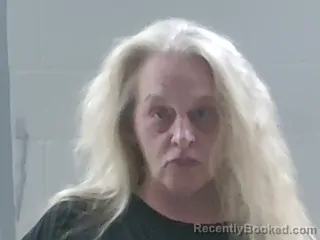 Mugshot of LAURA IRENE LAND booked in Livingston County, Louisiana on June 16, 2026