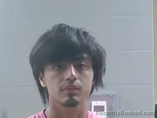 Booking photo from Livingston Parrish, Louisiana