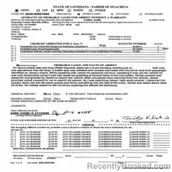 Mugshot of JAMES SPENCER LOWERY