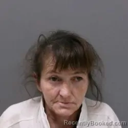 Mugshot of BETTY LEEANNA SULLIVAN