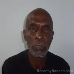 Mugshot of RONNIE LOUIS ELLIOTT