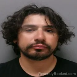 Mugshot of MARTIN LEE PEREZ