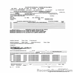 Mugshot of RANDY DEON HOLLINS
