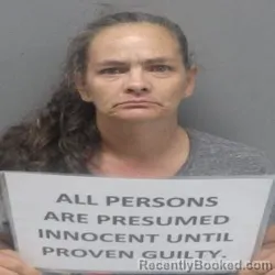 Mugshot of DEBBIE LYN DENAIS