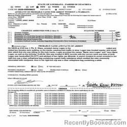 Mugshot of JENNY MARIE LOGAN