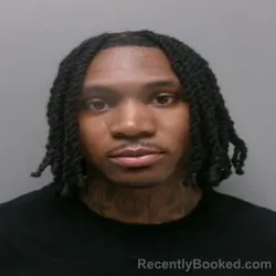 Mugshot of SAM LESTER FARMER