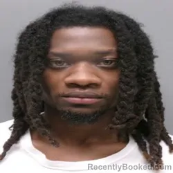 Mugshot of QUANTAVIOUS DARRELL DEMON HEGGENS