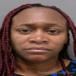 Mugshot of ARIEL AMIEE LEWIS booked in Ouachita County, Louisiana on July 30, 2026