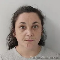 Mugshot of Meagan Sikes Toha booked in Ouachita County, Louisiana on August 2, 2026