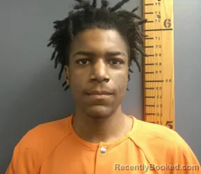 Mugshot of DONTRELLE JAMES GIBSON