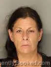 Mugshot of ELIZABETH ANN STRICKLAND booked in Colleton County, South Carolina on May 26, 2026